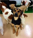 daycare pic 56 - Triton